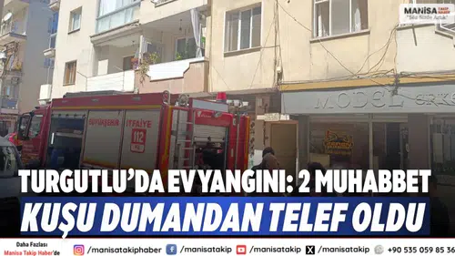 Turgutlu’da Ev Yangını: 2 Muhabbet Kuşu Dumandan Telef Oldu