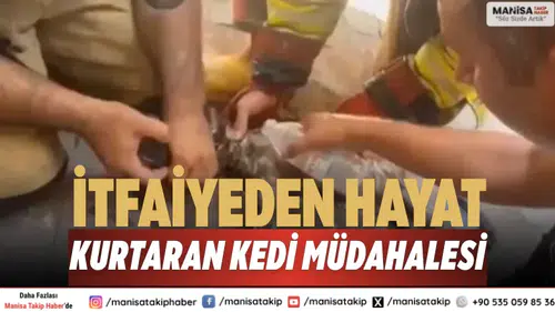 Manisa’da İtfaiyeden Kediyi Hayata Döndüren Müdahale