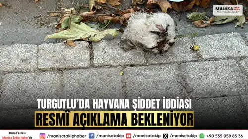 Turgutlu’da Hayvana Şiddet İddiası: Resmî Açıklama Bekleniyor