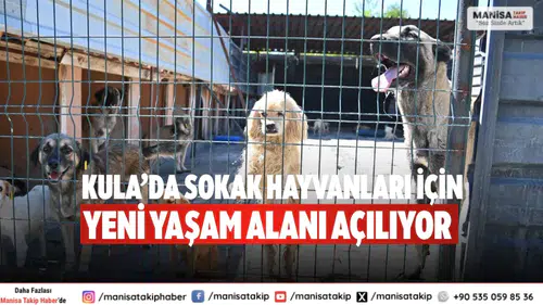 Kula’da sokak hayvanları için yeni yaşam alanı açılıyor