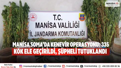 Manisa Soma’da Kenevir Operasyonu: 335 Kök Ele Geçirildi,