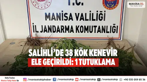 Salihli’de 38 Kök Kenevir Ele Geçirildi: 1 Tutuklama
