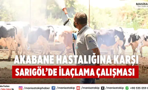Akabane Hastalığına Karşı Sarıgöl’de İlaçlama Çalışması