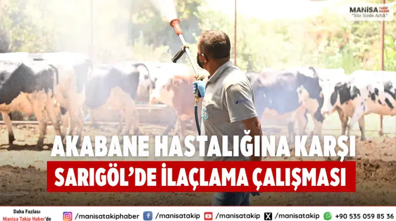 Akabane Hastalığına Karşı Sarıgöl’de İlaçlama Çalışması