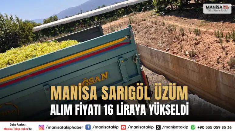 Manisa Sarıgöl Üzüm Alım Fiyatı 16 Liraya Yükseldi