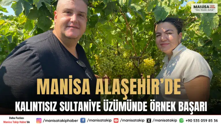 Manisa Alaşehir’de Kalıntısız Sultaniye Üzümünde Örnek Başarı