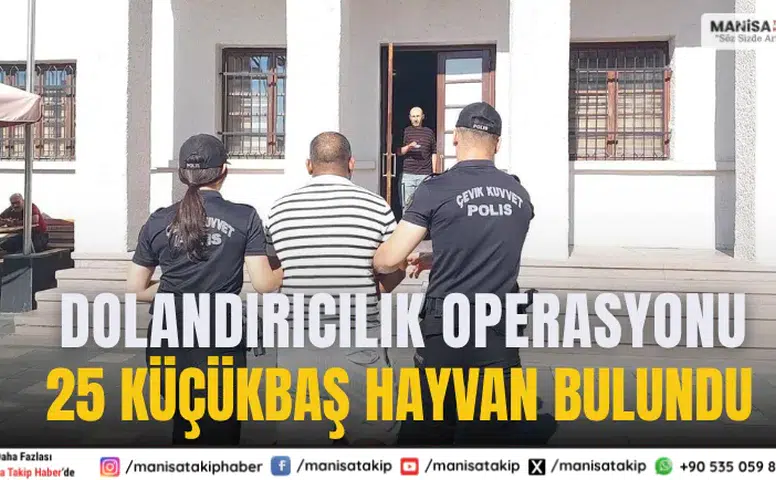 Manisa’da Bulundu Dolandırıcılık Operasyonu: 25 Küçükbaş Hayvan