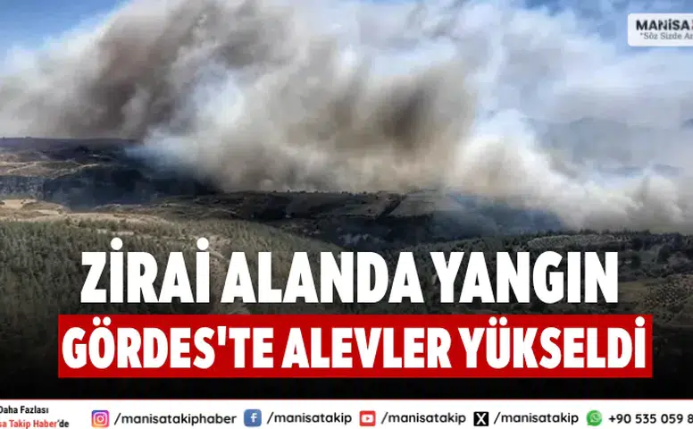 Zirai Alanda Yangın Gördes'te Alevler Yükseldi