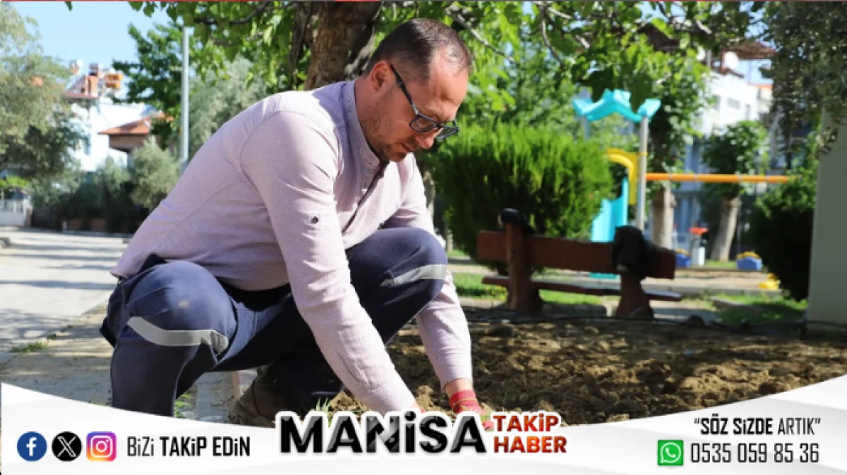 Alaşehir’de Yeşil Dönüşüm Devam Ediyor