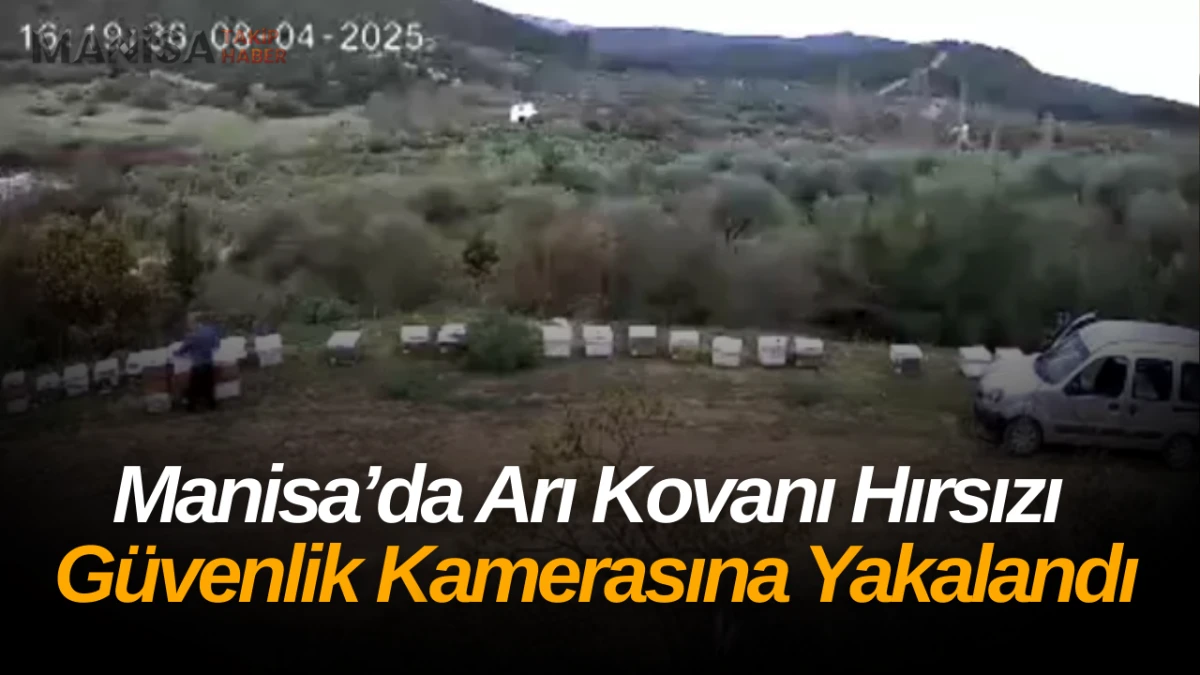 Manisa’da Arı Kovanı Hırsızı Güvenlik Kamerasına Yakalandı