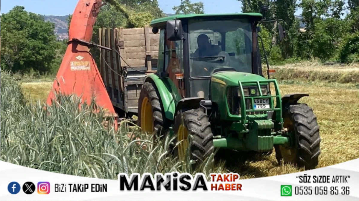 manisa’da Çiftçiden Doğal Slaj Yemle Süt Verimine %30 Artış