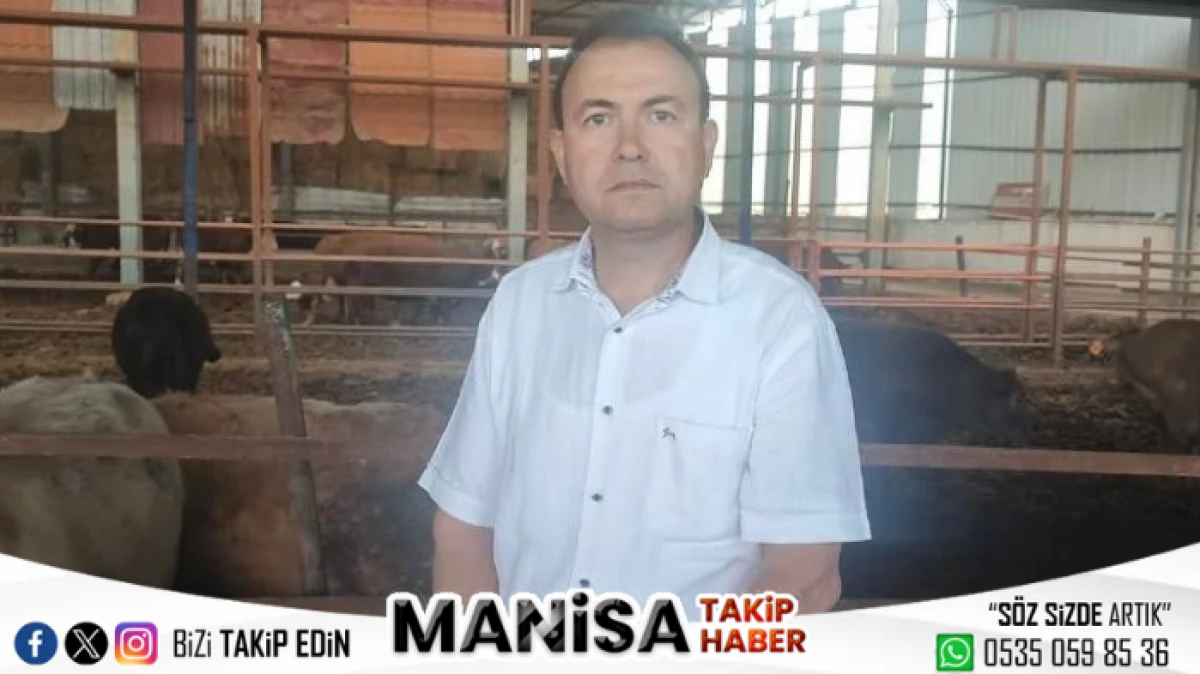 Manisa’da Kurbanlık Dananın Saldırdığı İş Adamı Hayatını Kaybetti