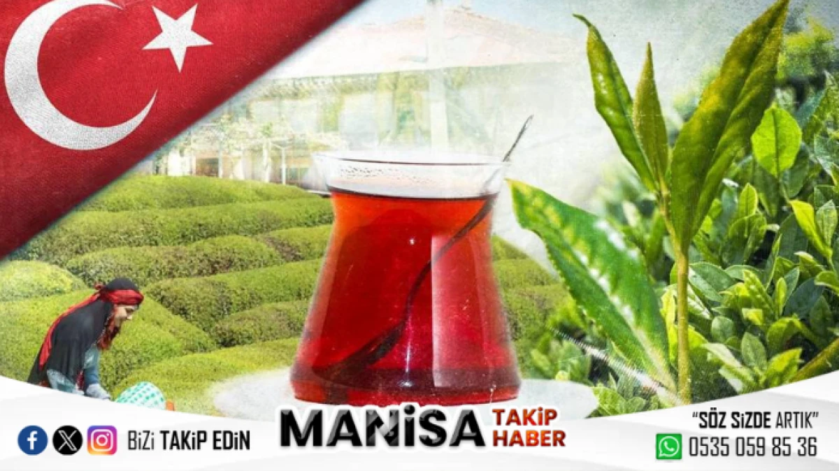 Tarım ve Orman Bakanlığı 2025 yaş çay alım fiyatını açıkladı