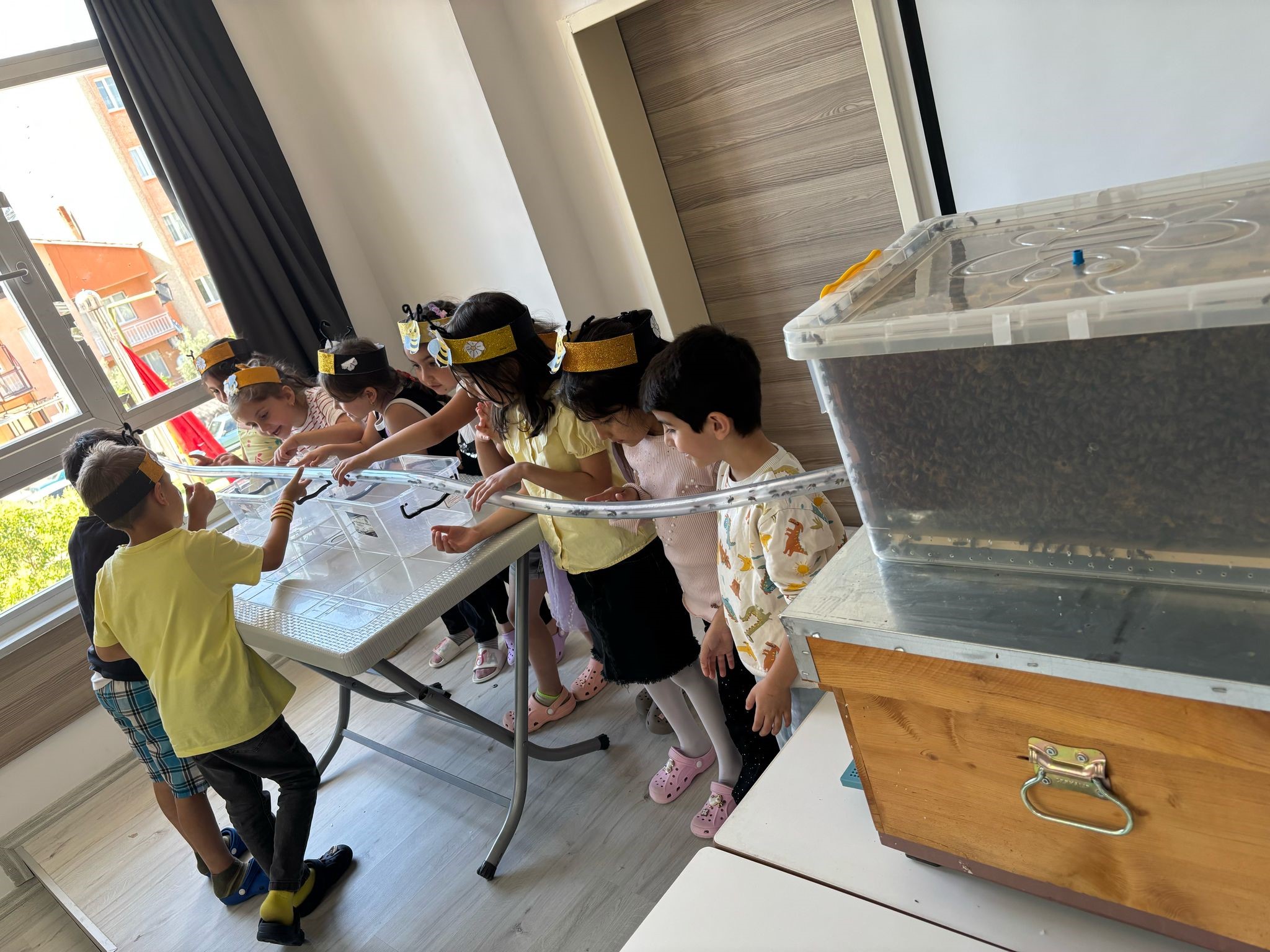 3 Boyutlu Proje Çalışması